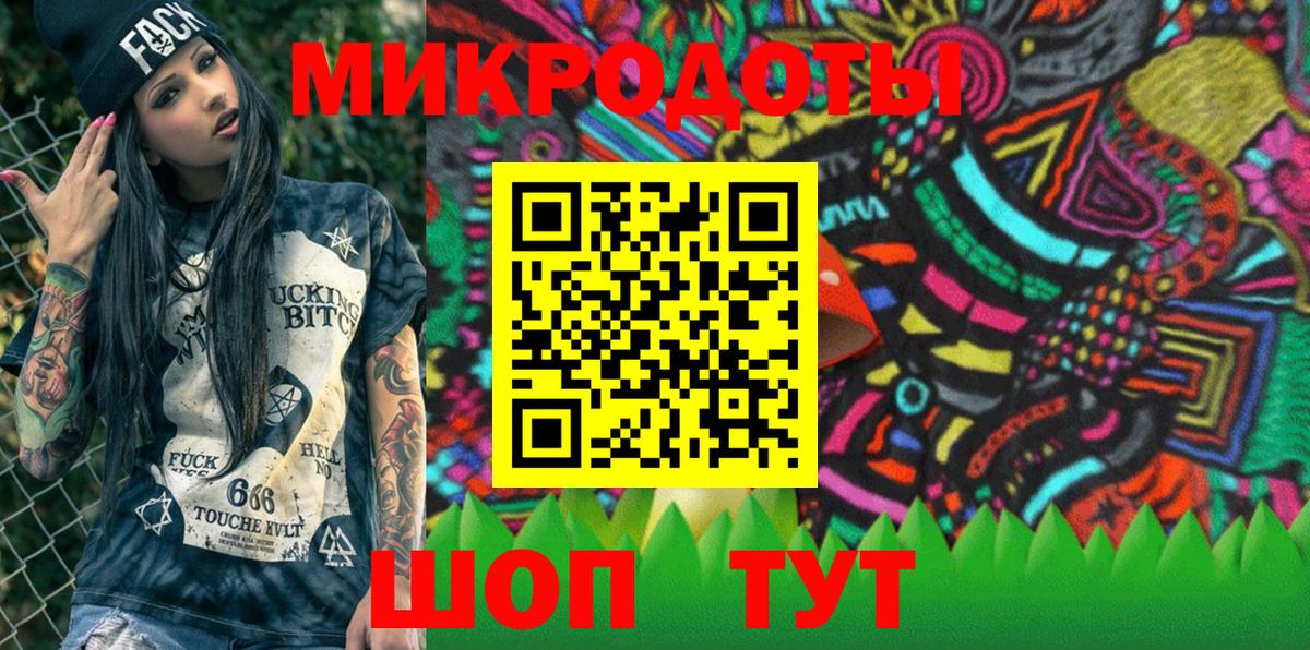 Псилоцибиновые грибы Cubensis Павлово